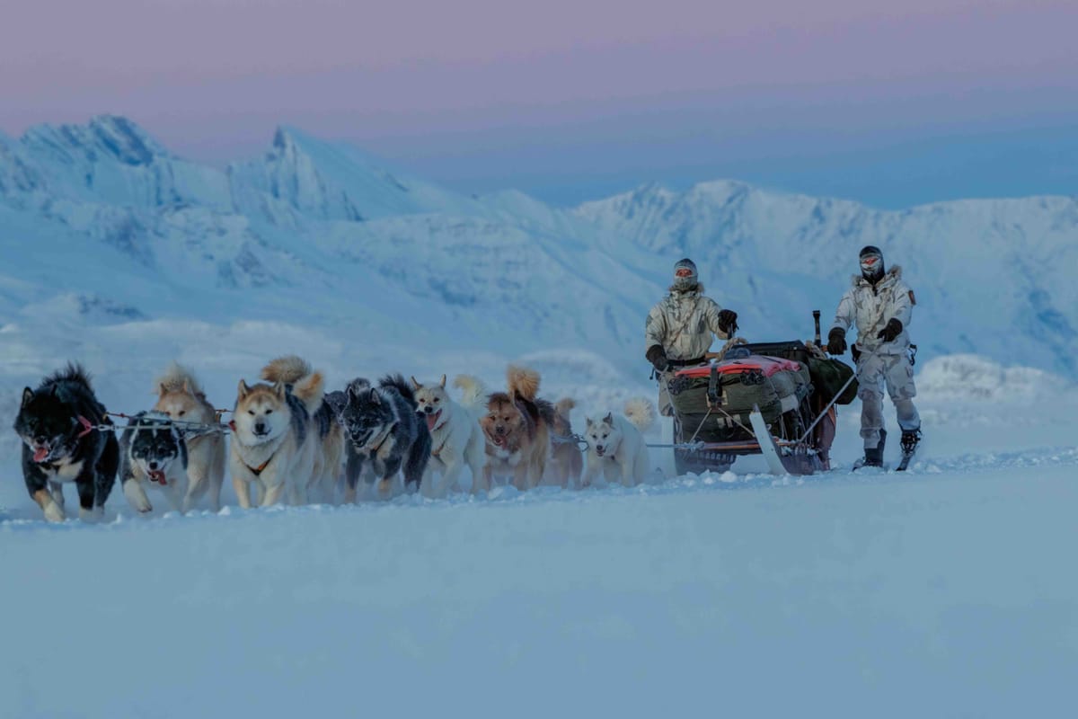 Dog sledding